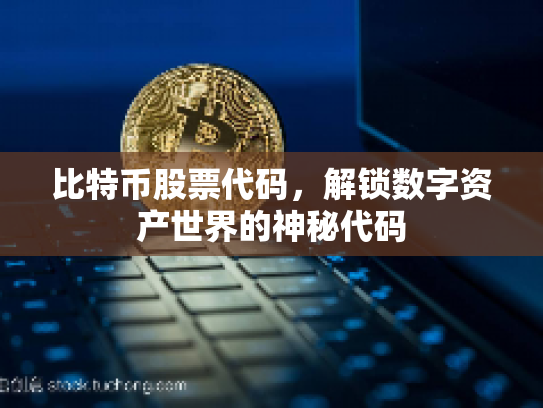 比特币股票代码，解锁数字资产世界的神秘代码