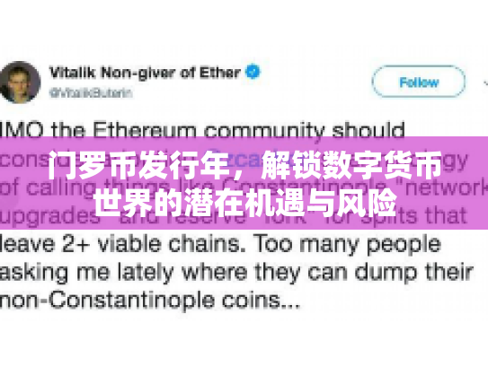 门罗币发行年，解锁数字货币世界的潜在机遇与风险