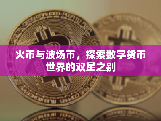 火币与波场币，探索数字货币世界的双星之别