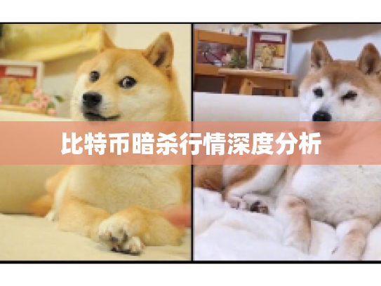 比特币暗杀行情深度分析