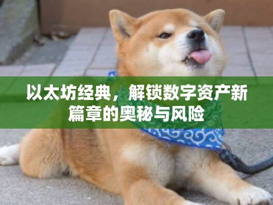 以太坊经典，解锁数字资产新篇章的奥秘与风险