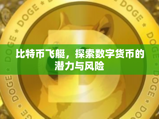 比特币飞艇，探索数字货币的潜力与风险