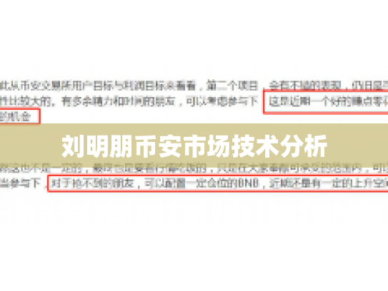 刘明朋币安市场技术分析