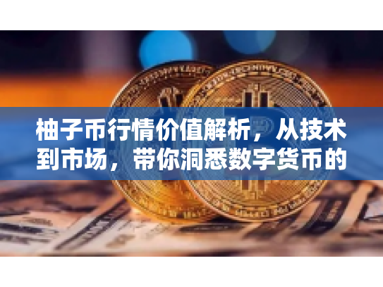 柚子币行情价值解析，从技术到市场，带你洞悉数字货币的未来潜力
