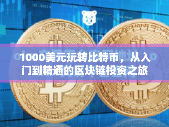 1000美元玩转比特币，从入门到精通的区块链投资之旅