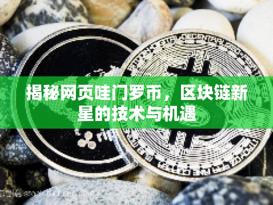 揭秘网页哇门罗币，区块链新星的技术与机遇