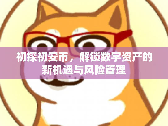 初探初安币，解锁数字资产的新机遇与风险管理