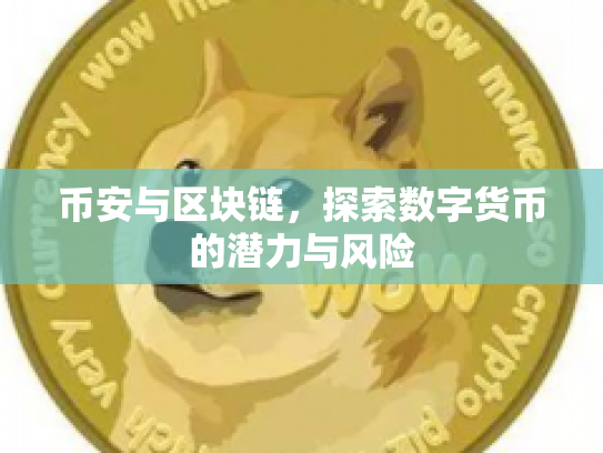 币安与区块链，探索数字货币的潜力与风险