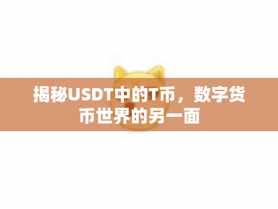 揭秘USDT中的T币，数字货币世界的另一面