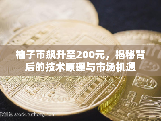柚子币飙升至200元，揭秘背后的技术原理与市场机遇