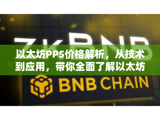 以太坊PPS价格解析，从技术到应用，带你全面了解以太坊的潜力与风险