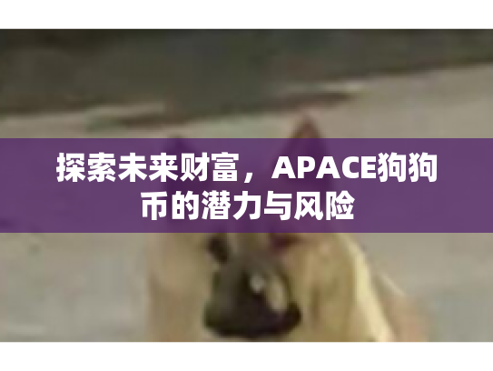 探索未来财富，APACE狗狗币的潜力与风险