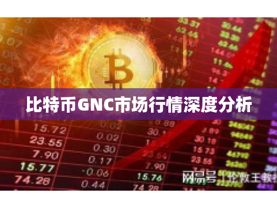 比特币GNC市场行情深度分析