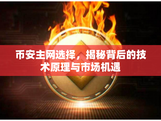 币安主网选择，揭秘背后的技术原理与市场机遇