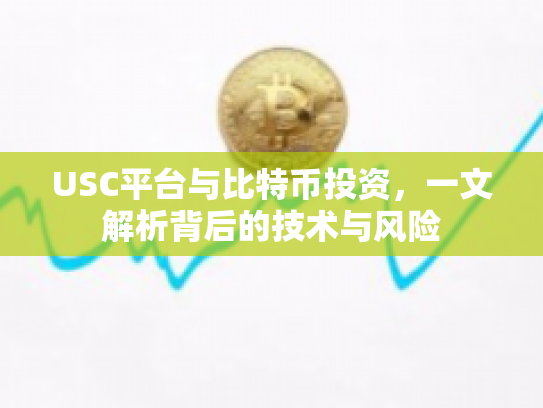 USC平台与比特币投资，一文解析背后的技术与风险