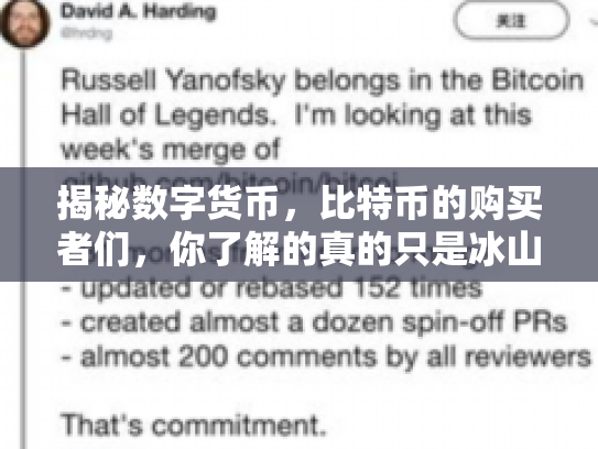 揭秘数字货币，比特币的购买者们，你了解的真的只是冰山一角吗？