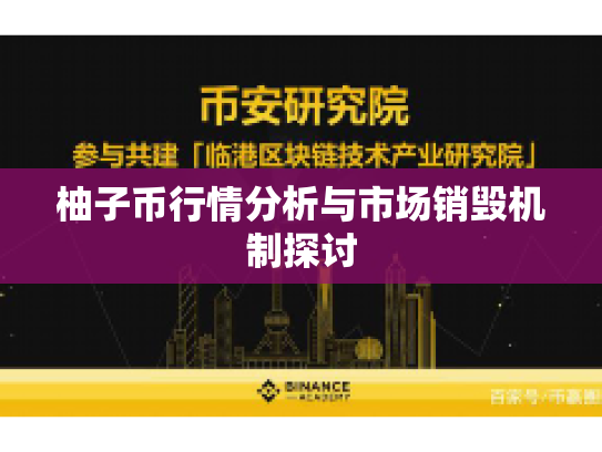 柚子币行情分析与市场销毁机制探讨