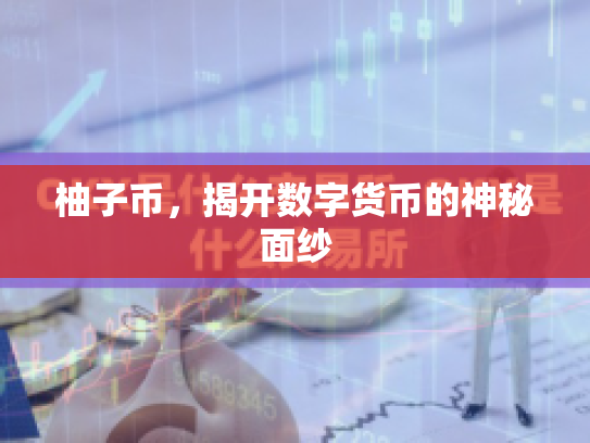 柚子币，揭开数字货币的神秘面纱