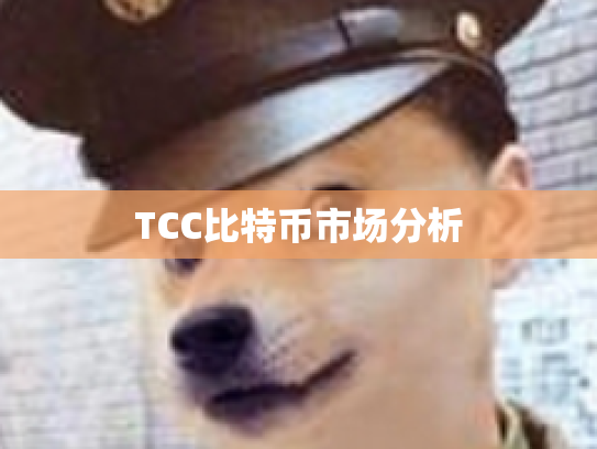 TCC比特币市场分析