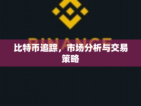 比特币追踪，市场分析与交易策略
