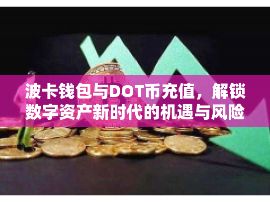 波卡钱包与DOT币充值，解锁数字资产新时代的机遇与风险