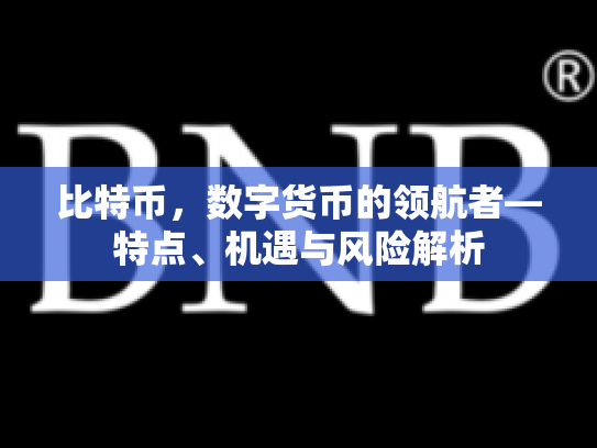 比特币，数字货币的领航者—特点、机遇与风险解析