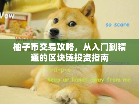 柚子币交易攻略，从入门到精通的区块链投资指南