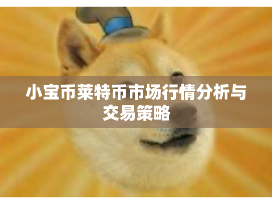 小宝币莱特币市场行情分析与交易策略