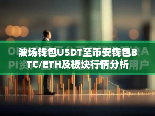 波场钱包USDT至币安钱包BTC/ETH及板块行情分析