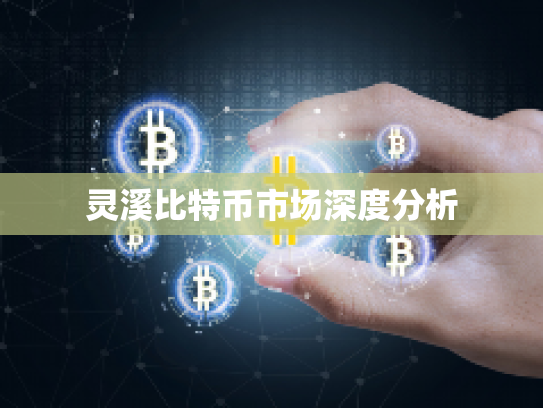 灵溪比特币市场深度分析