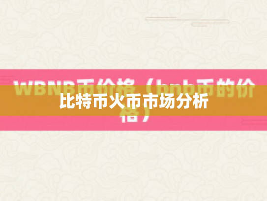 比特币火币市场分析