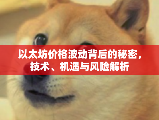 以太坊价格波动背后的秘密，技术、机遇与风险解析