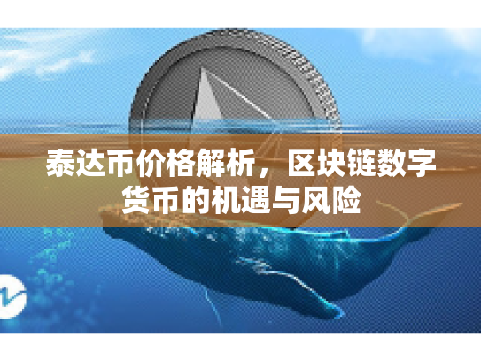 泰达币价格解析，区块链数字货币的机遇与风险