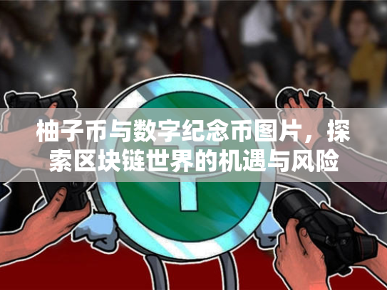 柚子币与数字纪念币图片，探索区块链世界的机遇与风险