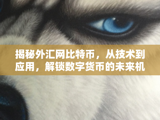 揭秘外汇网比特币，从技术到应用，解锁数字货币的未来机遇与风险