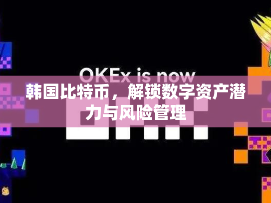 韩国比特币，解锁数字资产潜力与风险管理