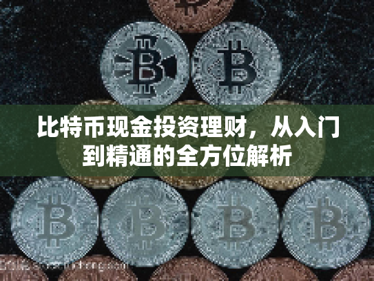 比特币现金投资理财，从入门到精通的全方位解析