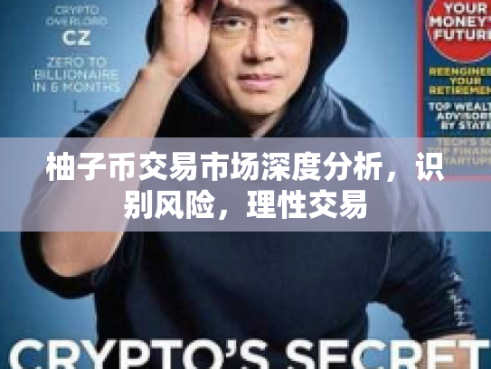 柚子币交易市场深度分析，识别风险，理性交易