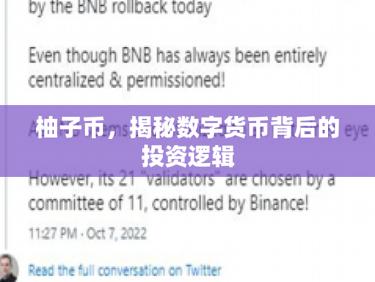 柚子币，揭秘数字货币背后的投资逻辑