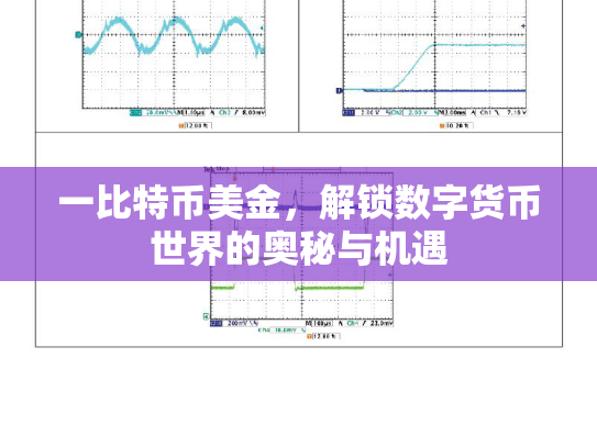 一比特币美金，解锁数字货币世界的奥秘与机遇