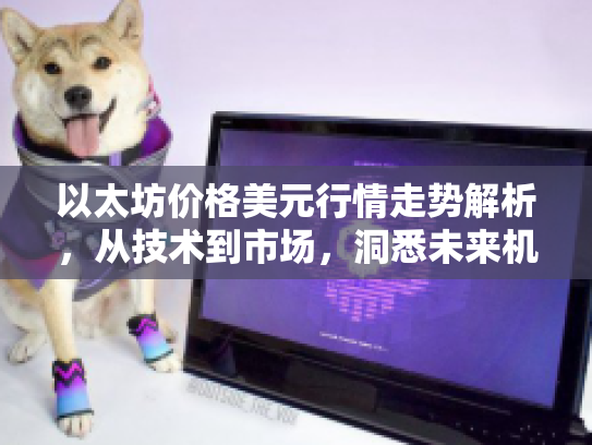 以太坊价格美元行情走势解析，从技术到市场，洞悉未来机遇与风险