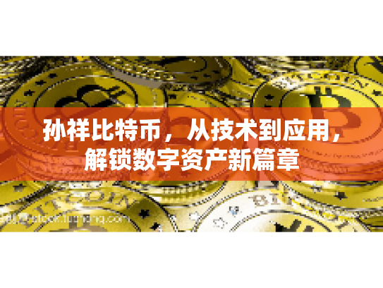 孙祥比特币，从技术到应用，解锁数字资产新篇章