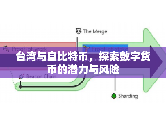 台湾与自比特币，探索数字货币的潜力与风险