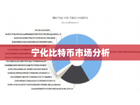 宁化比特币市场分析