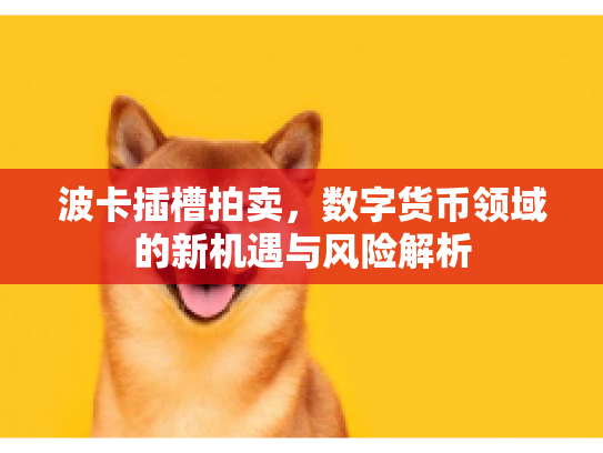 波卡插槽拍卖，数字货币领域的新机遇与风险解析
