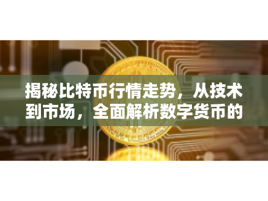 揭秘比特币行情走势，从技术到市场，全面解析数字货币的未来机遇与风险