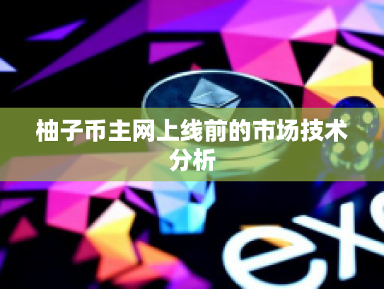 柚子币主网上线前的市场技术分析