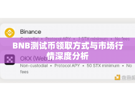 BNB测试币领取方式与市场行情深度分析