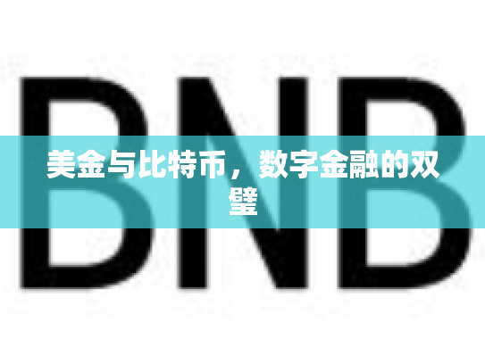 美金与比特币，数字金融的双璧