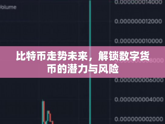 比特币走势未来，解锁数字货币的潜力与风险
